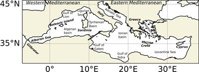 Hot and cold marine extreme events in the Mediterranean over the period 1982-2021